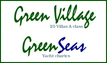 greenvillage_logo